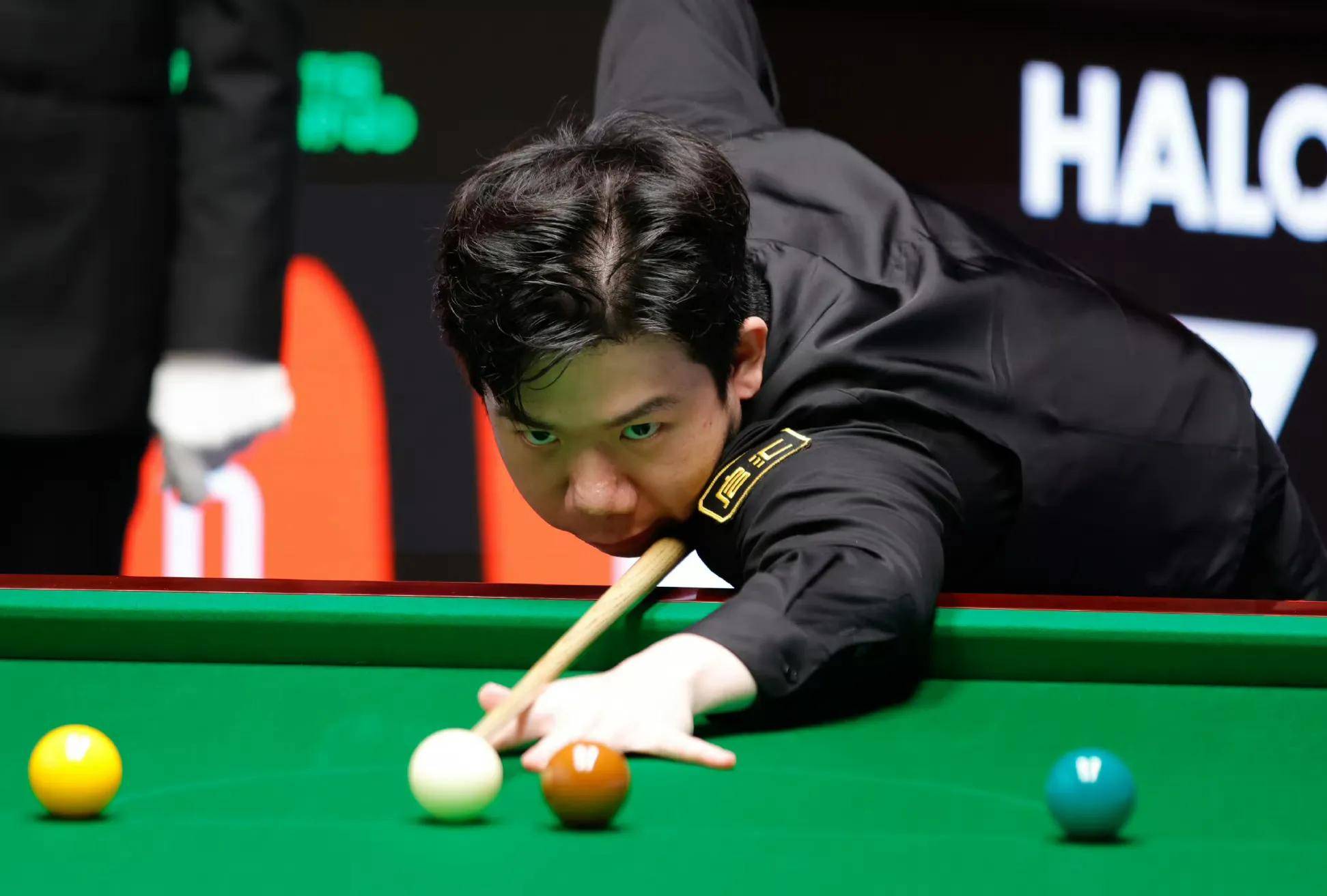 质是近50 质是近50